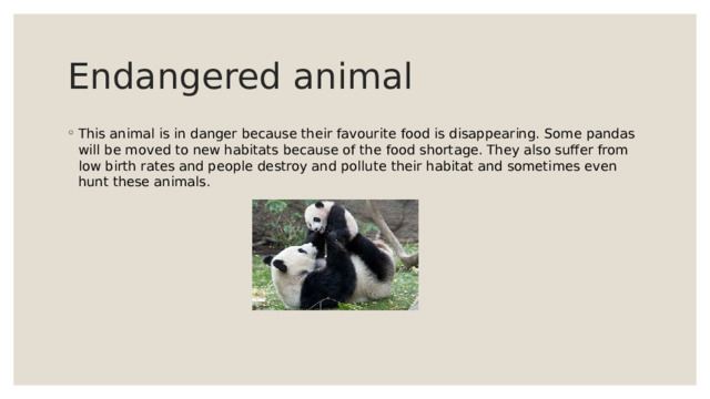Endangered animal This animal is in danger because their favourite food is disappearing. Some pandas will be moved to new habitats because of the food shortage. They also suffer from low birth rates and people destroy and pollute their habitat and sometimes even hunt these animals. 