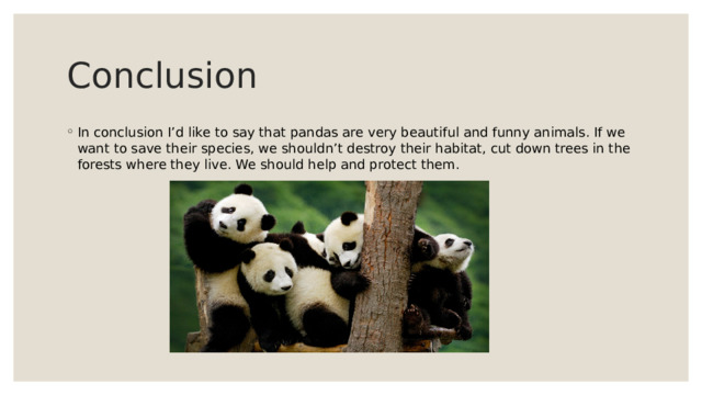 Conclusion In conclusion I’d like to say that pandas are very beautiful and funny animals. If we want to save their species, we shouldn’t destroy their habitat, cut down trees in the forests where they live. We should help and protect them. 