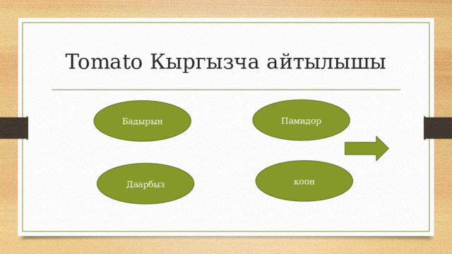 Tomato Кыргызча айтылышы Памидор Бадырын коон Даарбыз 
