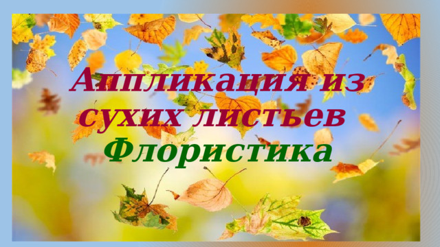 Аппликация из сухих листьев  Флористика  