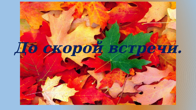 До скорой встречи. 