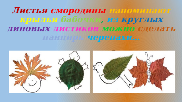 Листья  смородины  напоминают  крылья  бабочки , из круглых  липовых  листиков  можно сделать  панцирь черепахи… 