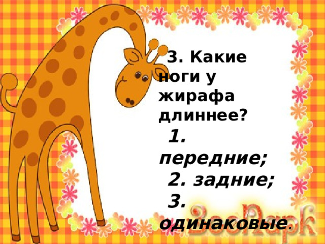 3. Какие ноги у жирафа длиннее? 1. передние; 2. задние; 3. одинаковые . 