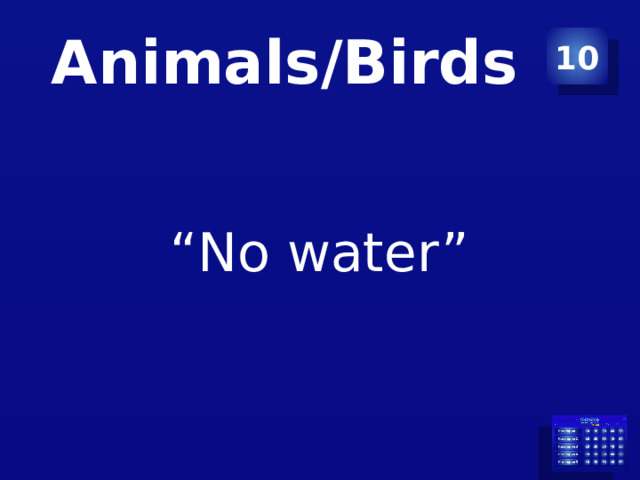 Animals/Birds 10 “ No water” 