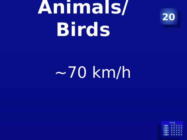 Animals/Birds 20 ~70 km/h 