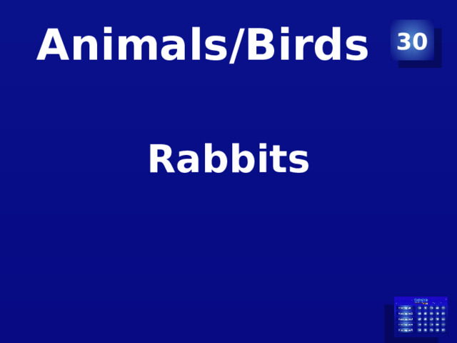 Animals/Birds 30 Rabbits 