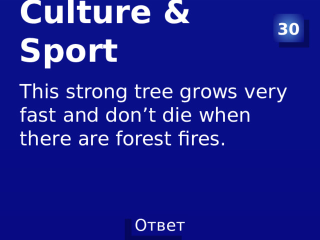 Culture & Sport 30 This strong tree grows very fast and don’t die when there are forest fires. 