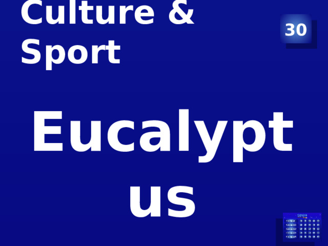 Culture & Sport 30 Eucalyptus 