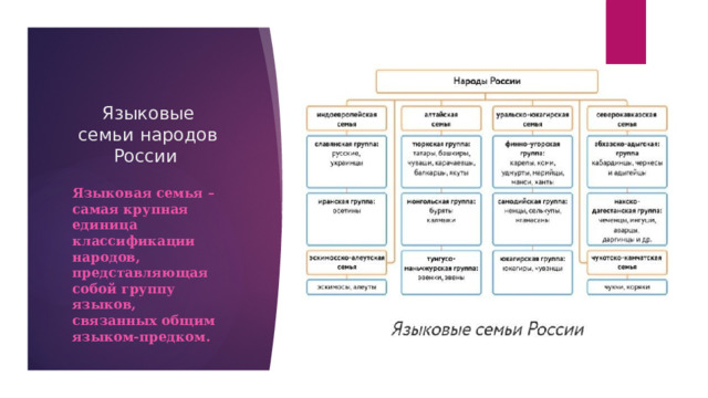 Языковые семьи народов России Языковая семья – самая крупная единица классификации народов, представляющая собой группу языков, связанных общим языком-предком. 