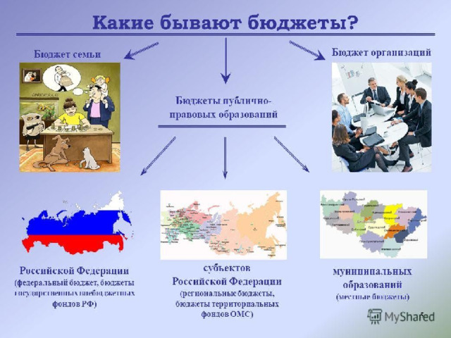 Виды бюджетов 