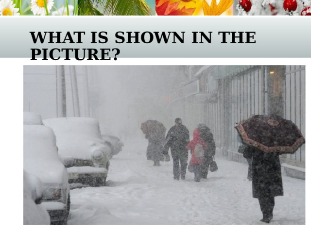 what is shown in the picture? 