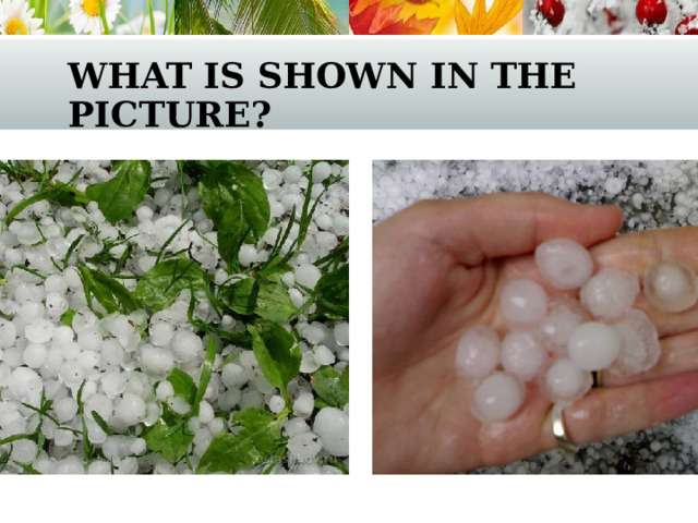 what is shown in the picture? 