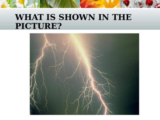 what is shown in the picture? 