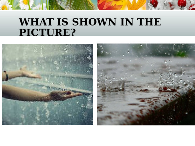 what is shown in the picture? 