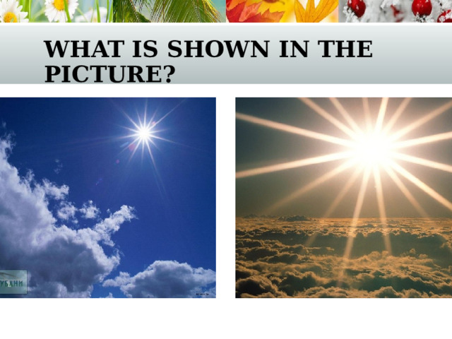 what is shown in the picture? 