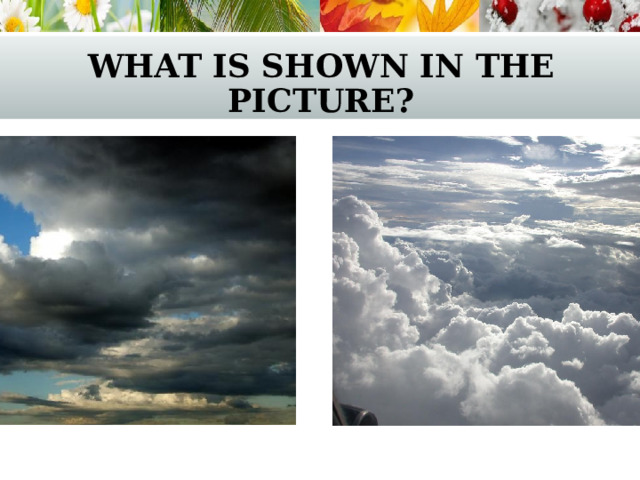 what is shown in the picture? 