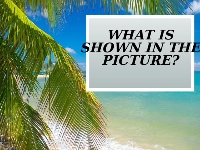 what is shown in the picture? 