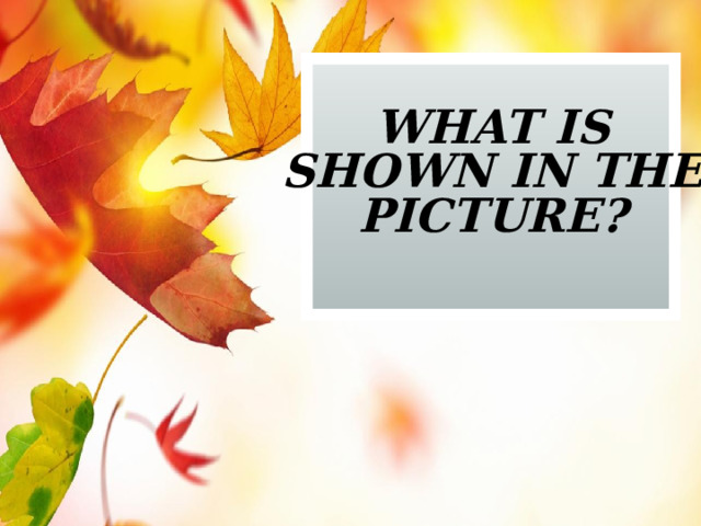 what is shown in the picture? 