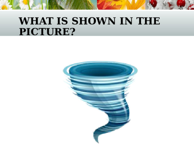 what is shown in the picture? 