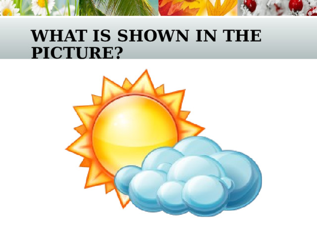 what is shown in the picture? 