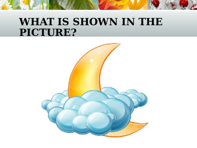 what is shown in the picture? 