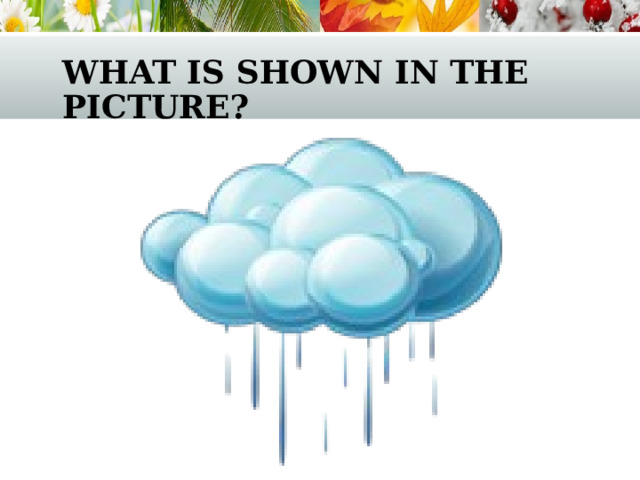 what is shown in the picture? 