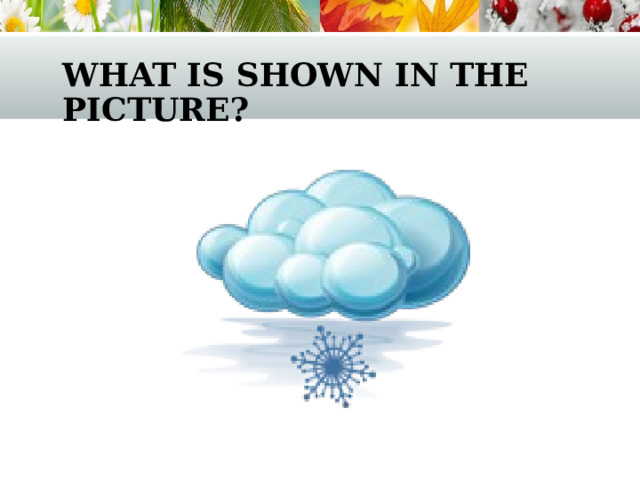 what is shown in the picture? 