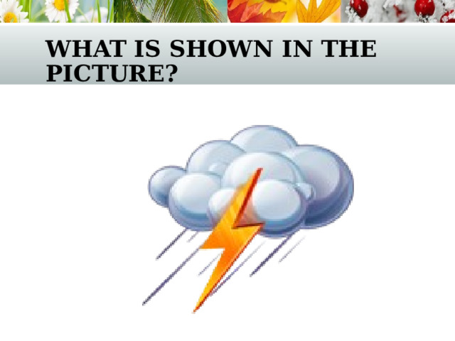 what is shown in the picture? 