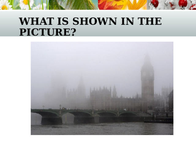 what is shown in the picture? 