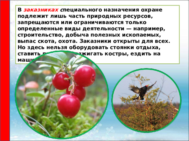 В  заказниках  с пециального назначения охране подлежит лишь часть природных ресурсов, запрещаются или ограничиваются только определенные виды деятельности — например, строительство, добыча полезных ископаемых, выпас скота, охота. Заказники открыты для всех. Но здесь нельзя оборудовать стоянки отдыха, ставить палатки, разжигать костры, ездить на машинах и т.п. 