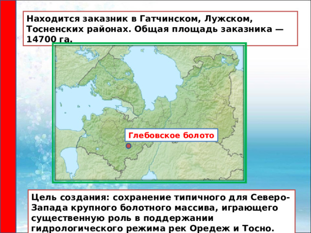 Находится заказник в Гатчинском, Лужском, Тосненских районах. Общая площадь заказника — 14700 га. Глебовское болото Цель создания: сохранение типичного для Северо-Запада крупного болотного массива, играющего существенную роль в поддержании гидрологического режима рек Оредеж и Тосно.  