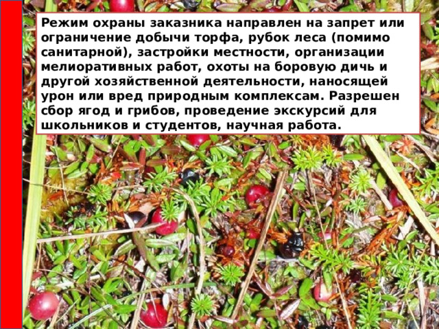 Режим охраны заказника направлен на запрет или ограничение добычи торфа, рубок леса (помимо санитарной), застройки местности, организации мелиоративных работ, охоты на боровую дичь и другой хозяйственной деятельности, наносящей урон или вред природным комплексам. Разрешен сбор ягод и грибов, проведение экскурсий для школьников и студентов, научная работа. 