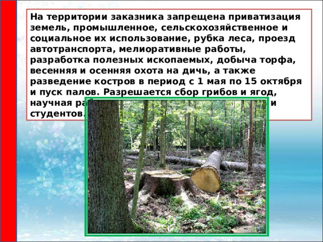 На территории заказника запрещена приватизация земель, промышленное, сельскохозяйственное и социальное их использование, рубка леса, проезд автотранспорта, мелиоративные работы, разработка полезных ископаемых, добыча торфа, весенняя и осенняя охота на дичь, а также разведение костров в период с 1 мая по 15 октября и пуск палов. Разрешается сбор грибов и ягод, научная работа и экскурсии для школьников и студентов. 