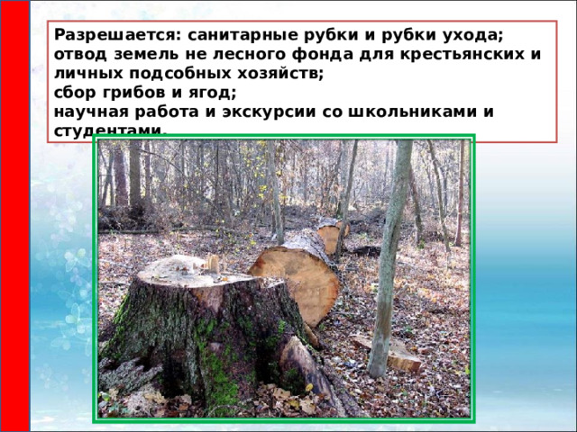 Разрешается: санитарные рубки и рубки ухода; отвод земель не лесного фонда для крестьянских и личных подсобных хозяйств; сбор грибов и ягод; научная работа и экскурсии со школьниками и студентами. 