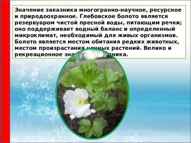 Значение заказника многогранно-научное, ресурсное и природоохранное. Глебовское болото является резервуаром чистой пресной воды, питающим речки; оно поддерживает водный баланс и определенный микроклимат, необходимый для живых организмов. Болото является местом обитания редких животных, местом произрастания ценных растений. Велико и рекреационное значение заказника. 