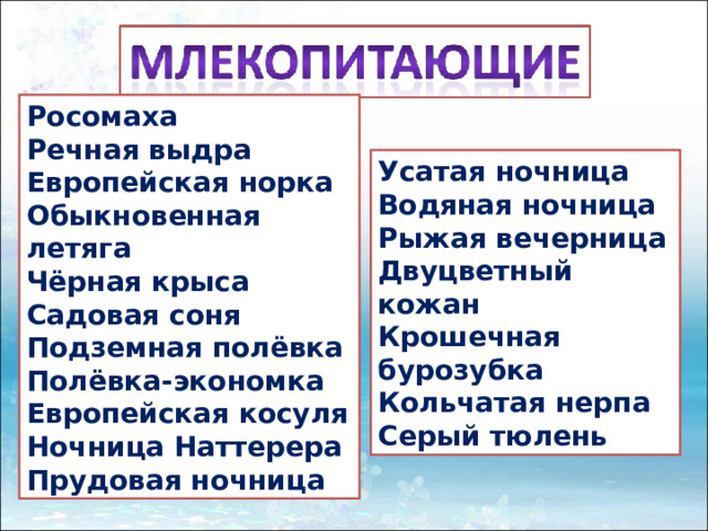 Росомаха Речная выдра Европейская норка Обыкновенная летяга Чёрная крыса Садовая соня Подземная полёвка Полёвка-экономка Европейская косуля Ночница Наттерера Прудовая ночница Усатая ночница Водяная ночница Рыжая вечерница Двуцветный кожан Крошечная бурозубка Кольчатая нерпа Серый тюлень 