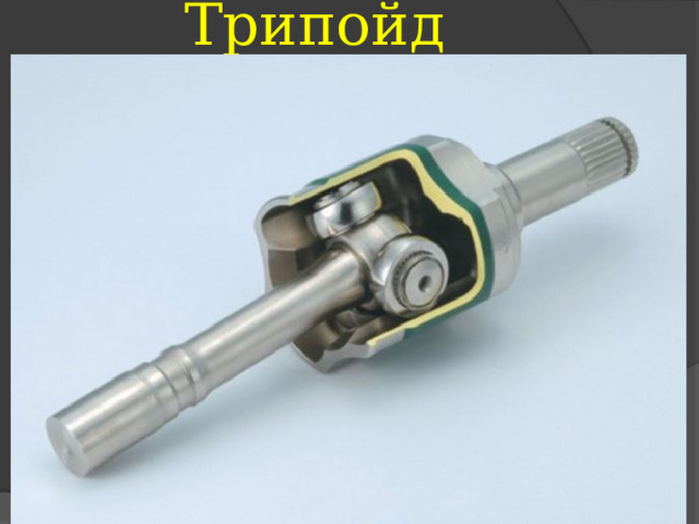 Трипойд 