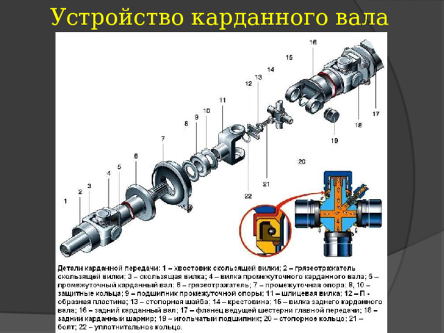 Устройство карданного вала 