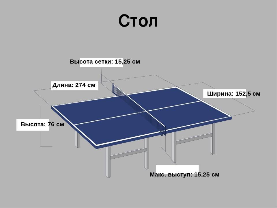 Размеры теннисного стола: стандартные и нестандартные