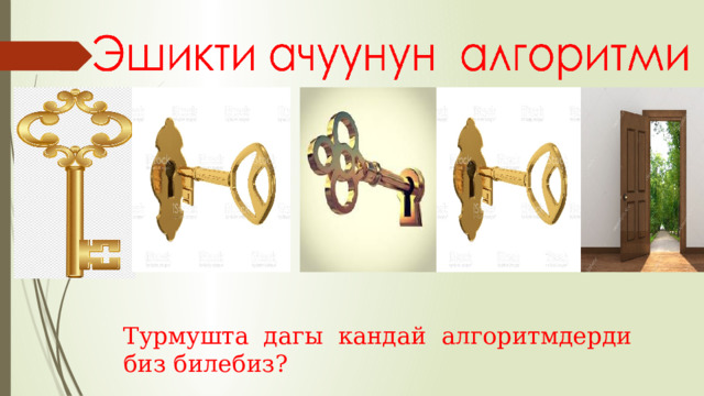 Турмушта дагы кандай алгоритмдерди биз билебиз? 