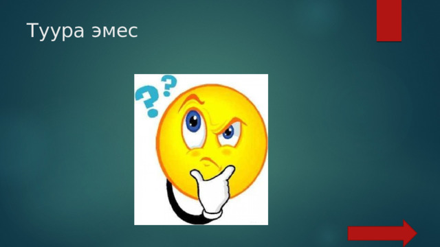 Туура эмес 