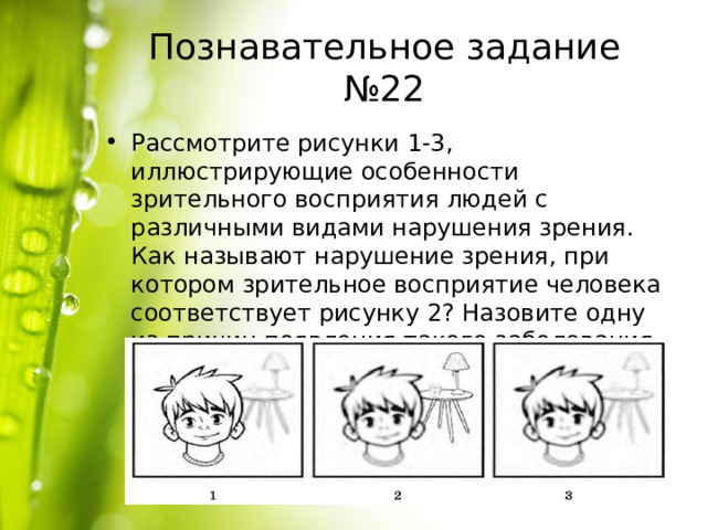 Познавательное задание №22 Рассмотрите рисунки 1-3, иллюстрирующие особенности зрительного восприятия людей с различными видами нарушения зрения. Как называют нарушение зрения, при котором зрительное восприятие человека соответствует рисунку 2? Назовите одну из причин появления такого заболевания у человека. 