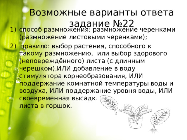 Возможные варианты ответа задание №22 способ размножения: размножение черенками (размножение листовыми черенками); 2) правило: выбор растения, способного к такому размножению, или выбор здорового (неповреждённого) листа (с длинным черешком),ИЛИ добавление в воду стимулятора корнеобразования, ИЛИ поддержание комнатной температуры воды и воздуха, ИЛИ поддержание уровня воды, ИЛИ своевременная высадка укоренившегося листа в горшок. 