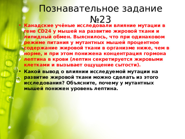 Познавательное задание №23 Канадские учёные исследовали влияние мутации в гене CD24 у мышей на развитие жировой ткани и липидный обмен. Выяснилось, что при одинаковом режиме питания у мутантных мышей процентное содержание жировой ткани в организме ниже, чем в норме, и при этом понижена концентрация гормона лептина в крови (лептин секретируется жировыми клетками и вызывает ощущение сытости). Какой вывод о влиянии исследуемой мутации на развитие жировой ткани можно сделать из этого исследования? Объясните, почему у мутантных мышей понижен уровень лептина. 