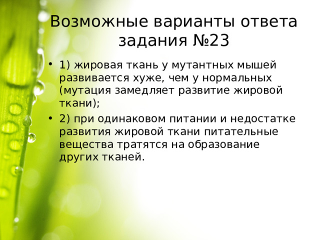 Возможные варианты ответа задания №23 1) жировая ткань у мутантных мышей развивается хуже, чем у нормальных (мутация замедляет развитие жировой ткани); 2) при одинаковом питании и недостатке развития жировой ткани питательные вещества тратятся на образование других тканей. 