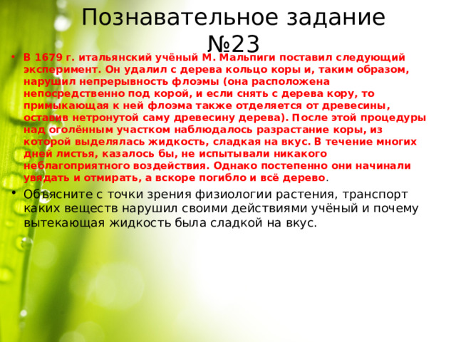 Познавательное задание №23 В 1679 г. итальянский учёный М. Мальпиги поставил следующий эксперимент. Он удалил с дерева кольцо коры и, таким образом, нарушил непрерывность флоэмы (она расположена непосредственно под корой, и если снять с дерева кору, то примыкающая к ней флоэма также отделяется от древесины, оставив нетронутой саму древесину дерева). После этой процедуры над оголённым участком наблюдалось разрастание коры, из которой выделялась жидкость, сладкая на вкус. В течение многих дней листья, казалось бы, не испытывали никакого неблагоприятного воздействия. Однако постепенно они начинали увядать и отмирать, а вскоре погибло и всё дерево . Объясните с точки зрения физиологии растения, транспорт каких веществ нарушил своими действиями учёный и почему вытекающая жидкость была сладкой на вкус. 
