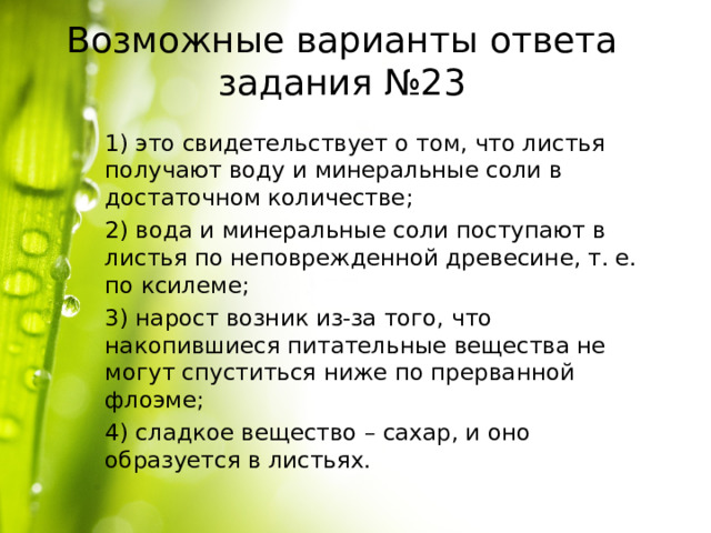 Возможные варианты ответа задания №23 1) это свидетельствует о том, что листья получают воду и минеральные соли в достаточном количестве; 2) вода и минеральные соли поступают в листья по неповрежденной древесине, т. е. по ксилеме; 3) нарост возник из-за того, что накопившиеся питательные вещества не могут спуститься ниже по прерванной флоэме; 4) сладкое вещество – сахар, и оно образуется в листьях. 