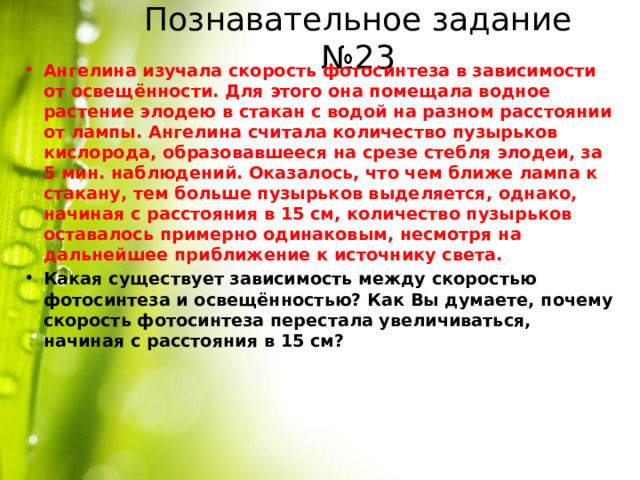 Познавательное задание №23 Ангелина изучала скорость фотосинтеза в зависимости от освещённости. Для этого она помещала водное растение элодею в стакан с водой на разном расстоянии от лампы. Ангелина считала количество пузырьков кислорода, образовавшееся на срезе стебля элодеи, за 5 мин. наблюдений. Оказалось, что чем ближе лампа к стакану, тем больше пузырьков выделяется, однако, начиная с расстояния в 15 см, количество пузырьков оставалось примерно одинаковым, несмотря на дальнейшее приближение к источнику света. Какая существует зависимость между скоростью фотосинтеза и освещённостью? Как Вы думаете, почему скорость фотосинтеза перестала увеличиваться, начиная с расстояния в 15 см? 