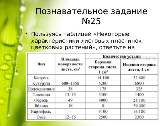Познавательное задание №25 Пользуясь таблицей «Некоторые характеристики листовых пластинок цветковых растений», ответьте на следующие вопросы. Таблица  