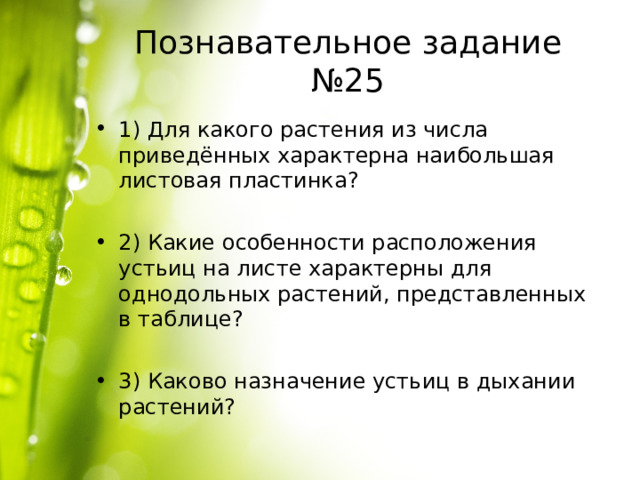 Познавательное задание №25 1) Для какого растения из числа приведённых характерна наибольшая листовая пластинка?  2) Какие особенности расположения устьиц на листе характерны для однодольных растений, представленных в таблице?  3) Каково назначение устьиц в дыхании растений? 